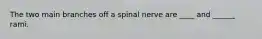 The two main branches off a spinal nerve are ____ and ______ rami.