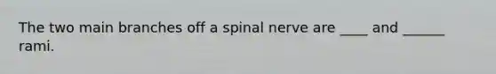 The two main branches off a spinal nerve are ____ and ______ rami.