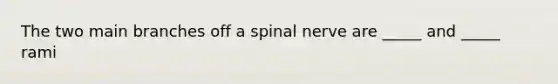 The two main branches off a spinal nerve are _____ and _____ rami