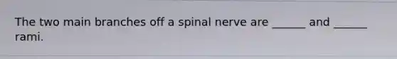 The two main branches off a spinal nerve are ______ and ______ rami.