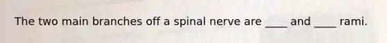 The two main branches off a spinal nerve are ____ and ____ rami.