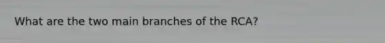 What are the two main branches of the RCA?