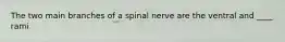 The two main branches of a spinal nerve are the ventral and ____ rami