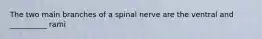 The two main branches of a spinal nerve are the ventral and __________ rami