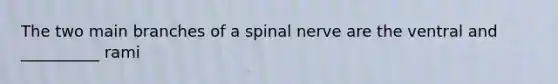 The two main branches of a spinal nerve are the ventral and __________ rami