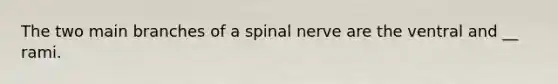 The two main branches of a spinal nerve are the ventral and __ rami.