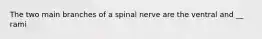 The two main branches of a spinal nerve are the ventral and __ rami