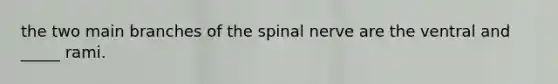 the two main branches of the spinal nerve are the ventral and _____ rami.