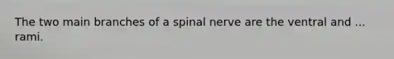 The two main branches of a spinal nerve are the ventral and ... rami.