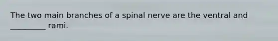 The two main branches of a spinal nerve are the ventral and _________ rami.