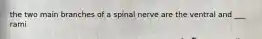 the two main branches of a spinal nerve are the ventral and ___ rami