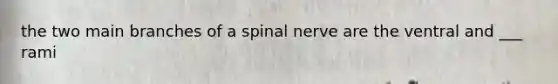 the two main branches of a spinal nerve are the ventral and ___ rami