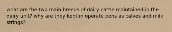 what are the two main breeds of dairy cattle maintained in the dairy unit? why are they kept in operate pens as calves and milk strings?