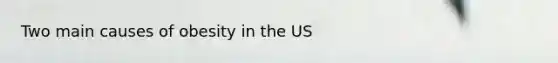 Two main causes of obesity in the US