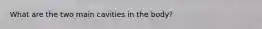 What are the two main cavities in the body?