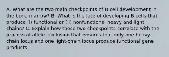 A. What are the two main checkpoints of B-cell development in the bone marrow? B. What is the fate of developing B cells that produce (i) functional or (ii) nonfunctional heavy and light chains? C. Explain how these two checkpoints correlate with the process of allelic exclusion that ensures that only one heavy-chain locus and one light-chain locus produce functional gene products.