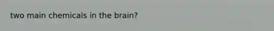 two main chemicals in the brain?