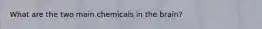 What are the two main chemicals in the brain?