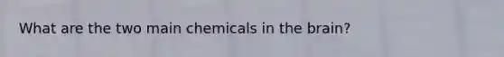 What are the two main chemicals in the brain?