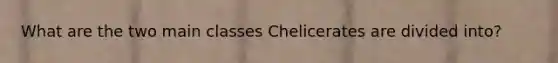 What are the two main classes Chelicerates are divided into?