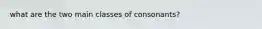 what are the two main classes of consonants?