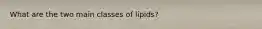 What are the two main classes of lipids?