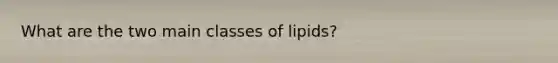 What are the two main classes of lipids?