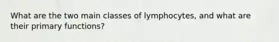 What are the two main classes of lymphocytes, and what are their primary functions?