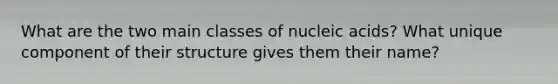 What are the two main classes of nucleic acids? What unique component of their structure gives them their name?