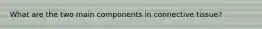 What are the two main components in connective tissue?