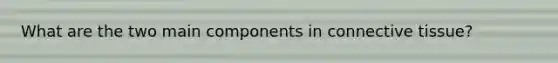 What are the two main components in connective tissue?