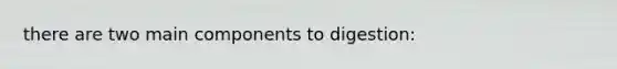 there are two main components to digestion: