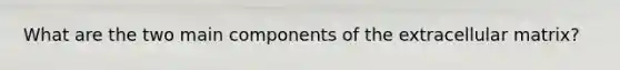 What are the two main components of the extracellular matrix?