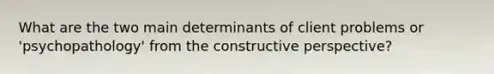 What are the two main determinants of client problems or 'psychopathology' from the constructive perspective?