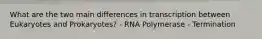 What are the two main differences in transcription between Eukaryotes and Prokaryotes? - RNA Polymerase - Termination