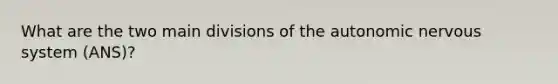 What are the two main divisions of the autonomic nervous system (ANS)?