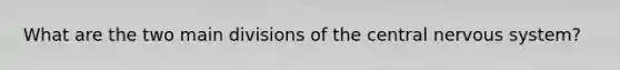 What are the two main divisions of the central nervous system?