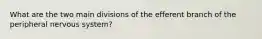 What are the two main divisions of the efferent branch of the peripheral nervous system?