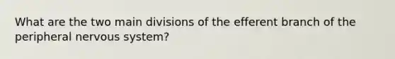 What are the two main divisions of the efferent branch of the peripheral nervous system?