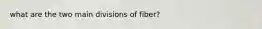 what are the two main divisions of fiber?