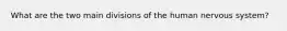 What are the two main divisions of the human nervous system?