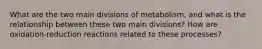 What are the two main divisions of metabolism, and what is the relationship between these two main divisions? How are oxidation-reduction reactions related to these processes?