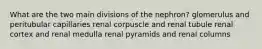 What are the two main divisions of the nephron? glomerulus and peritubular capillaries renal corpuscle and renal tubule renal cortex and renal medulla renal pyramids and renal columns