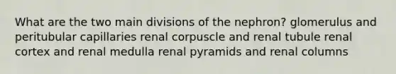 What are the two main divisions of the nephron? glomerulus and peritubular capillaries renal corpuscle and renal tubule renal cortex and renal medulla renal pyramids and renal columns