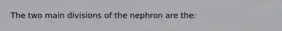 The two main divisions of the nephron are the: