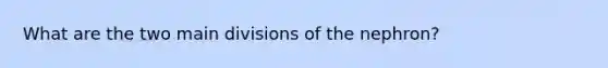 What are the two main divisions of the nephron?