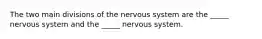 The two main divisions of the nervous system are the _____ nervous system and the _____ nervous system.