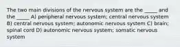 The two main divisions of the nervous system are the _____ and the _____ A) peripheral nervous system; central nervous system B) central nervous system; autonomic nervous system C) brain; spinal cord D) autonomic nervous system; somatic nervous system