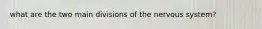 what are the two main divisions of the nervous system?