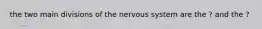 the two main divisions of the nervous system are the ? and the ?